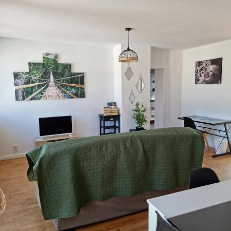 Le Belvedere Vue Pyrenees, Familiale, Centre Tarbes Apartment ภายนอก รูปภาพ