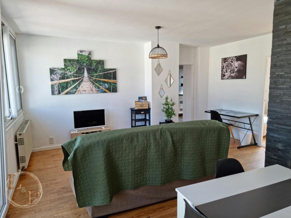 Le Belvedere Vue Pyrenees, Familiale, Centre Tarbes Apartment ภายนอก รูปภาพ